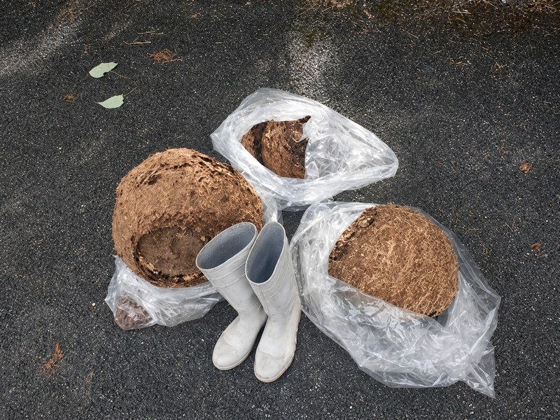 駆除した大きなスズメバチの巣3つと作業用長靴