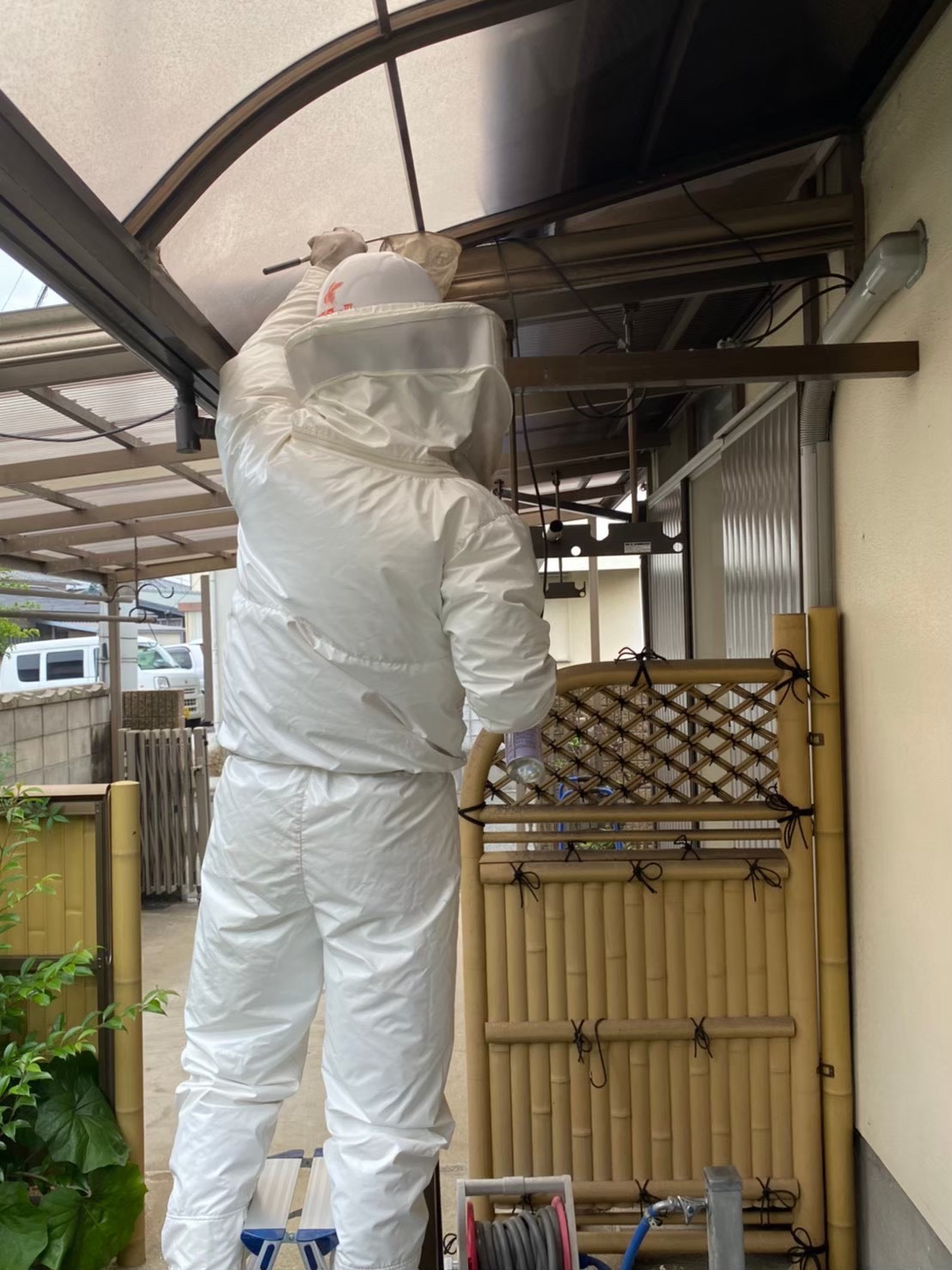 防護服を着用した蜂駆除作業の様子